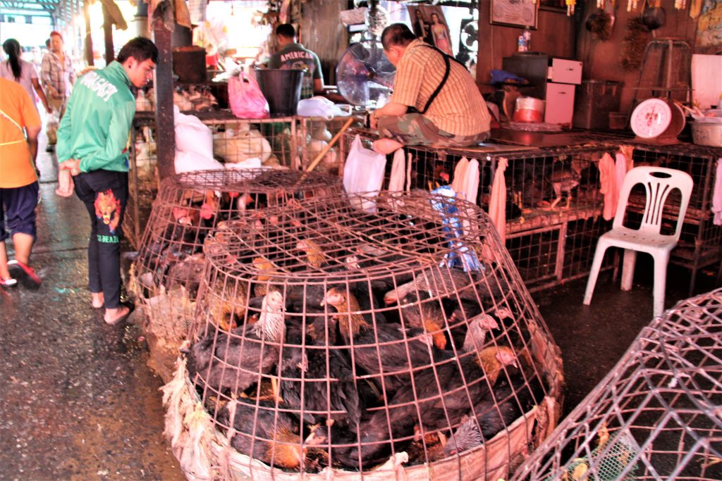 タイ　観光　旅行　　バンコク　超穴場　クロントゥーイ　市場　ディープ　スポット　美人　奥様