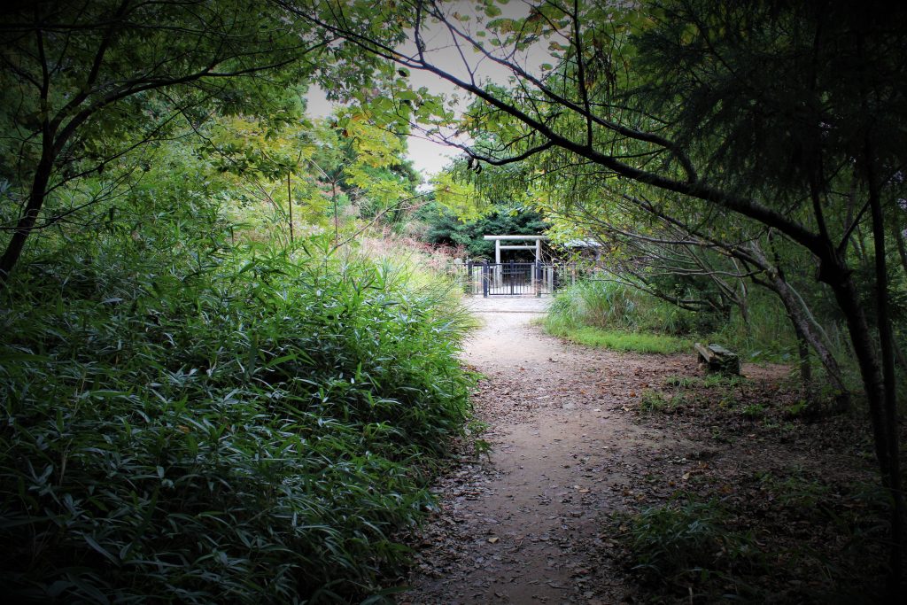 奈良　観光　おすすめ　心霊　ミステリースポット　モデルコース　パワースポット 東大寺　二月堂　天河神社　天川村　生駒　宝山寺　法隆寺　大神神社　飛鳥　飛鳥大仏　鹿　伊勢神社　熊野本宮　大社　五芒星　レイライン　旅行　日本　最古　平城京　平安京　出雲大社　富士山　　二上山　どんづるぼう　トンネル　高取城　五百羅漢　弥山　弥山神社　UFO