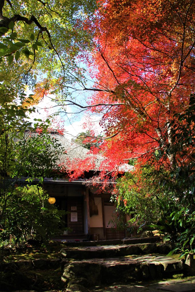 旅　想い出草ノート　恋愛　恋ヘタ　抒情詩　京都　嵯峨野　直指庵　寂聴　観光　旅行　京都　観光スポット　ランキング