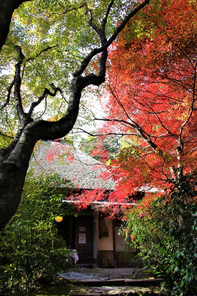 旅　想い出草ノート　恋愛　恋ヘタ　抒情詩　京都　嵯峨野　直指庵　寂聴　観光　旅行　京都　観光スポット　ランキング