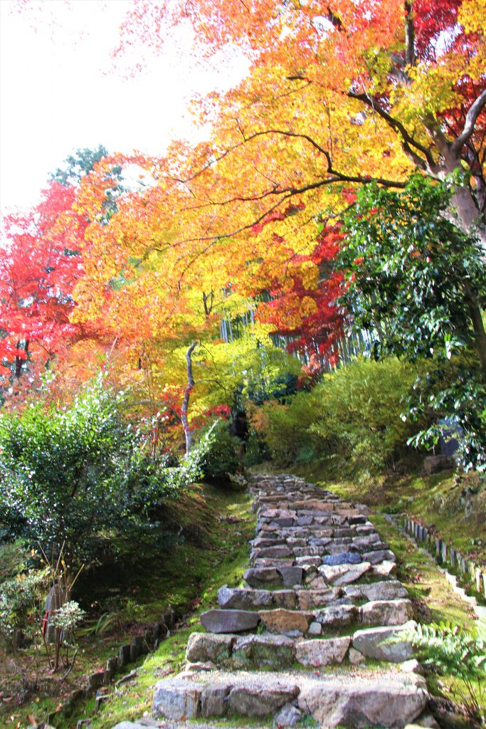 旅　想い出草ノート　恋愛　恋ヘタ　抒情詩　京都　嵯峨野　直指庵　寂聴　観光　旅行　京都　観光スポット　ランキング