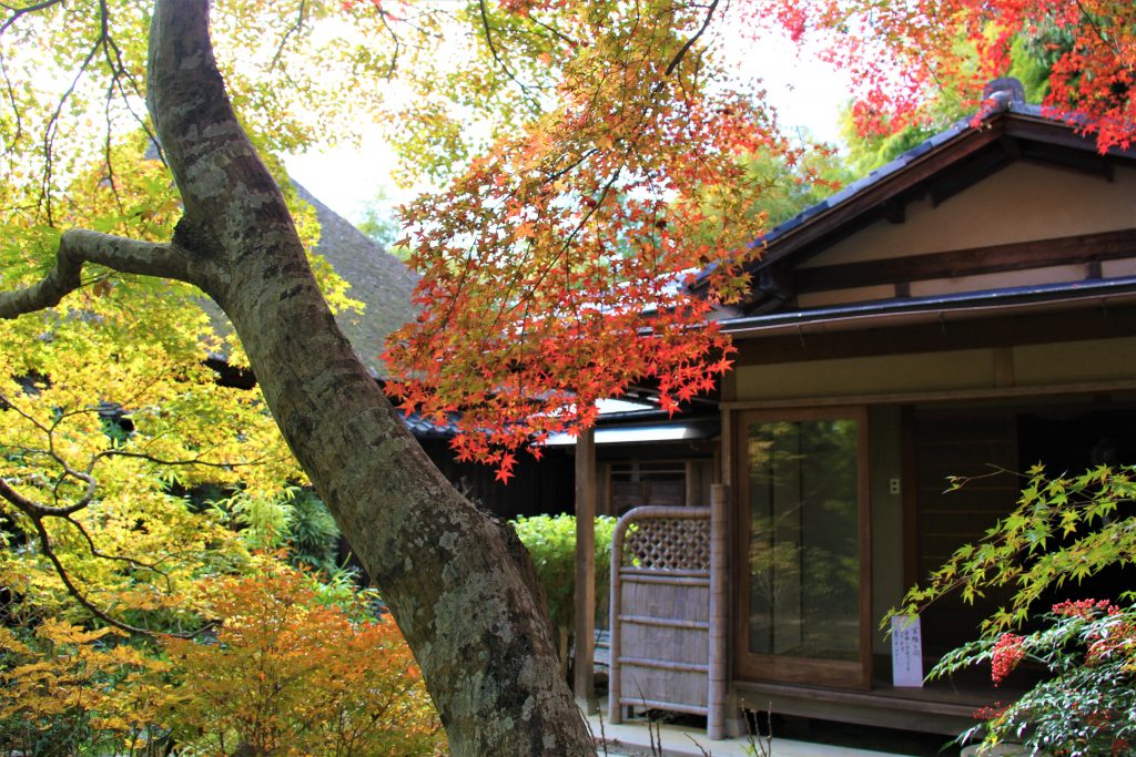 旅　想い出草ノート　恋愛　恋ヘタ　抒情詩　京都　嵯峨野　直指庵　寂聴　観光　旅行　京都　観光スポット　ランキング