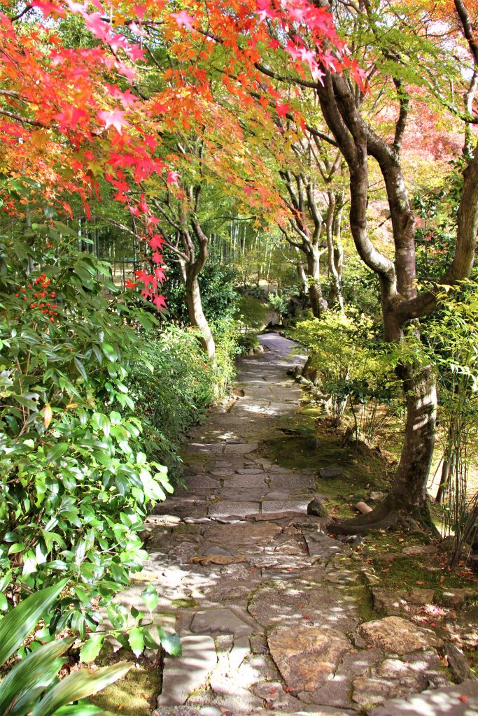 旅　想い出草ノート　恋愛　恋ヘタ　抒情詩　京都　嵯峨野　直指庵　寂聴　観光　旅行　京都　観光スポット　ランキング