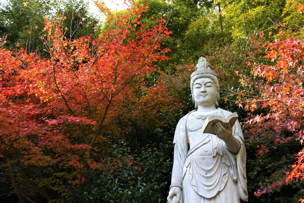 旅　想い出草ノート　恋愛　恋ヘタ　抒情詩　京都　嵯峨野　直指庵　寂聴　観光　旅行　京都　観光スポット　ランキング