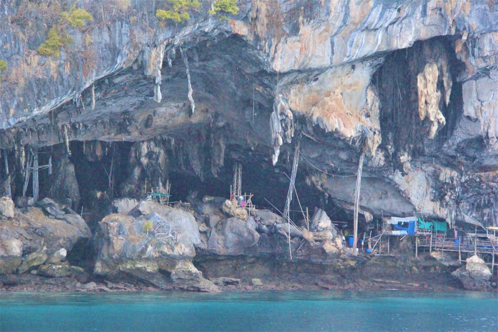 ピピ島　レイ島　マヤベイ　タイ　プーケット　観光　旅行　海　絶景　ビーチ