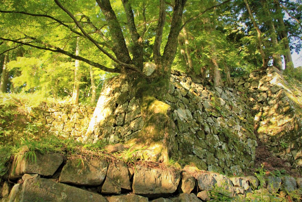 奈良　観光　おすすめ　心霊　ミステリースポット　モデルコース　パワースポット 東大寺　二月堂　天河神社　天川村　生駒　宝山寺　法隆寺　大神神社　飛鳥　飛鳥大仏　鹿　伊勢神社　熊野本宮　大社　五芒星　レイライン　旅行　日本　最古　平城京　平安京　出雲大社　富士山　　二上山　どんづるぼう　トンネル　高取城　五百羅漢　弥山　弥山神社　UFO