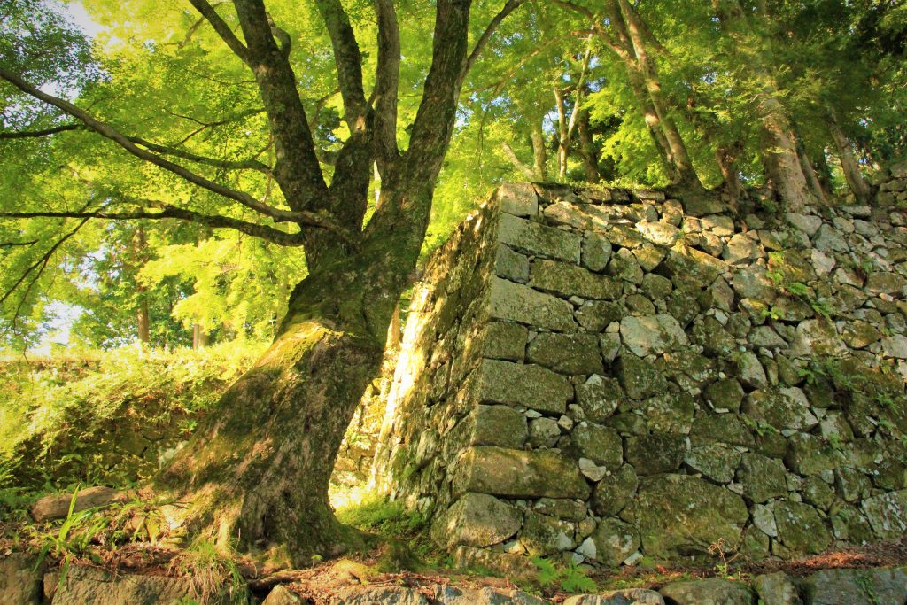 奈良　観光　おすすめ　心霊　ミステリースポット　モデルコース　パワースポット 東大寺　二月堂　天河神社　天川村　生駒　宝山寺　法隆寺　大神神社　飛鳥　飛鳥大仏　鹿　伊勢神社　熊野本宮　大社　五芒星　レイライン　旅行　日本　最古　平城京　平安京　出雲大社　富士山　