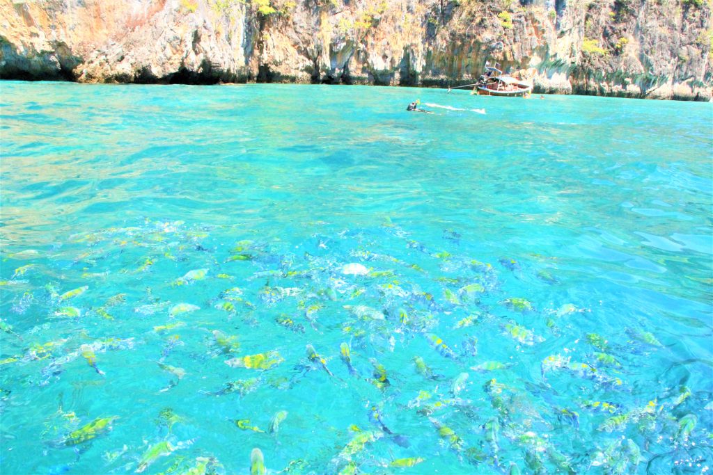 ピピ島　レイ島　マヤベイ　タイ　プーケット　観光　旅行　海　絶景　ビーチ