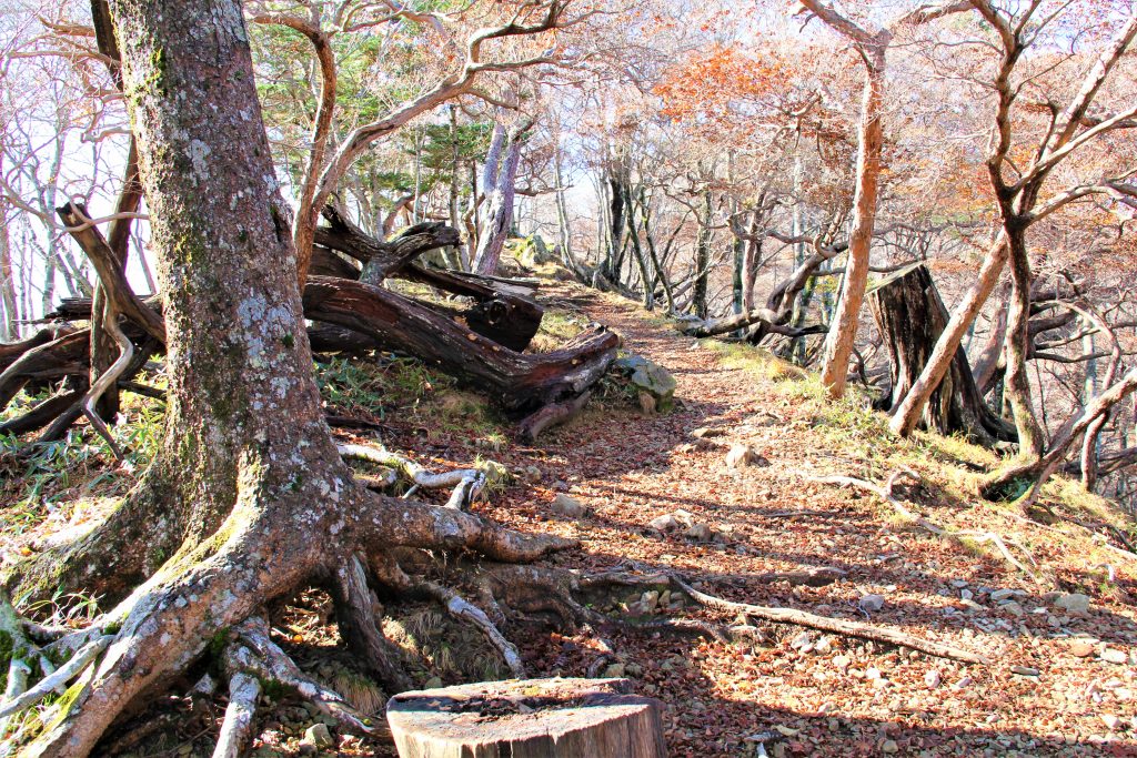 ＵＦＯ　奈良　奈良県　天川村　天河神社　弥山　ピラミッドパワー　パワースポット　高野　吉野　熊野　日本　古来　世界遺産　登山　超常現象　霊　運気　紀伊山地の霊場と参詣道　大峯山　女人結界　女人禁制