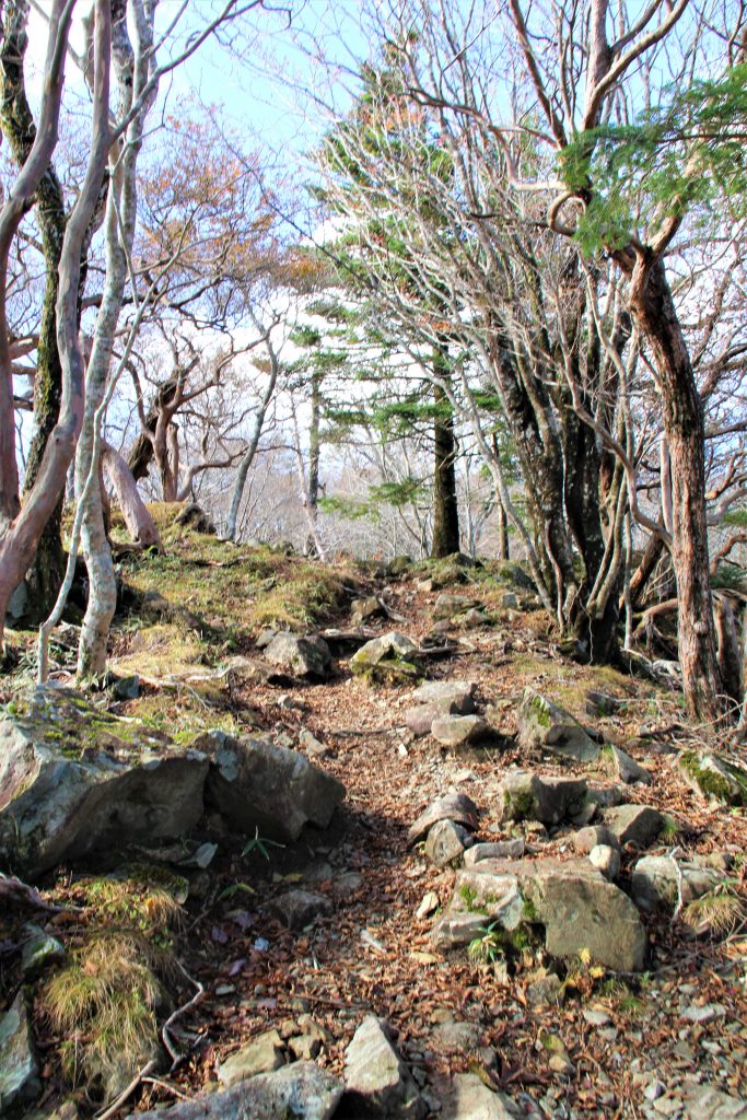 ＵＦＯ　奈良　奈良県　天川村　天河神社　弥山　ピラミッドパワー　パワースポット　高野　吉野　熊野　日本　古来　世界遺産　登山　超常現象　霊　運気　紀伊山地の霊場と参詣道　大峯山　女人結界　女人禁制