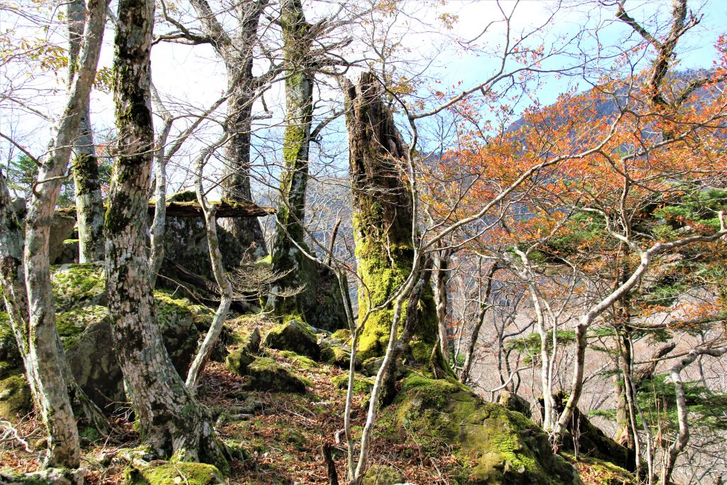 ＵＦＯ　奈良　奈良県　天川村　天河神社　弥山　ピラミッドパワー　パワースポット　高野　吉野　熊野　日本　古来　世界遺産　登山　超常現象　霊　運気　紀伊山地の霊場と参詣道　大峯山　女人結界　女人禁制