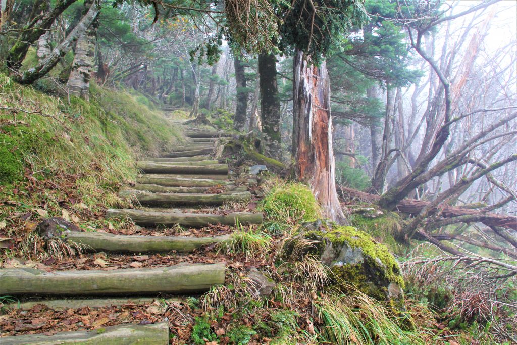 ＵＦＯ　奈良　奈良県　天川村　天河神社　弥山　ピラミッドパワー　パワースポット　高野　吉野　熊野　日本　古来　世界遺産　登山　超常現象　霊　運気　紀伊山地の霊場と参詣道　大峯山　女人結界　女人禁制