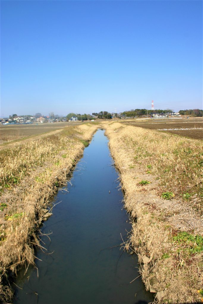 将門　首塚　平将門　心霊　パワー　旅　茨城県　坂東　東京　千代田区　大手町　 日本三大怨霊　怨霊　心霊　呪い　祟り　怖すぎる　ミステリースポット　心霊スポット 胴塚　生誕の地　戦死　終えんの地　築土神社　神田明神　