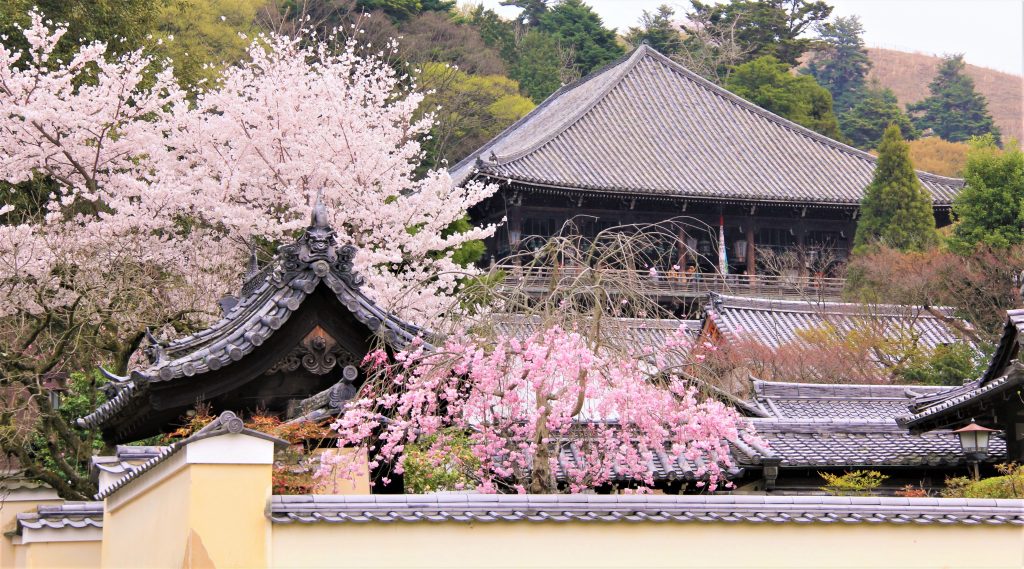 奈良 東大寺　二月堂　お水取り　見どころ　拝観料　歴史　盆踊り　裏参道　蛍　絶対秘仏　拝観料入場料金　東大寺　奈良市観光協会　スカイツリー　24時間　無料