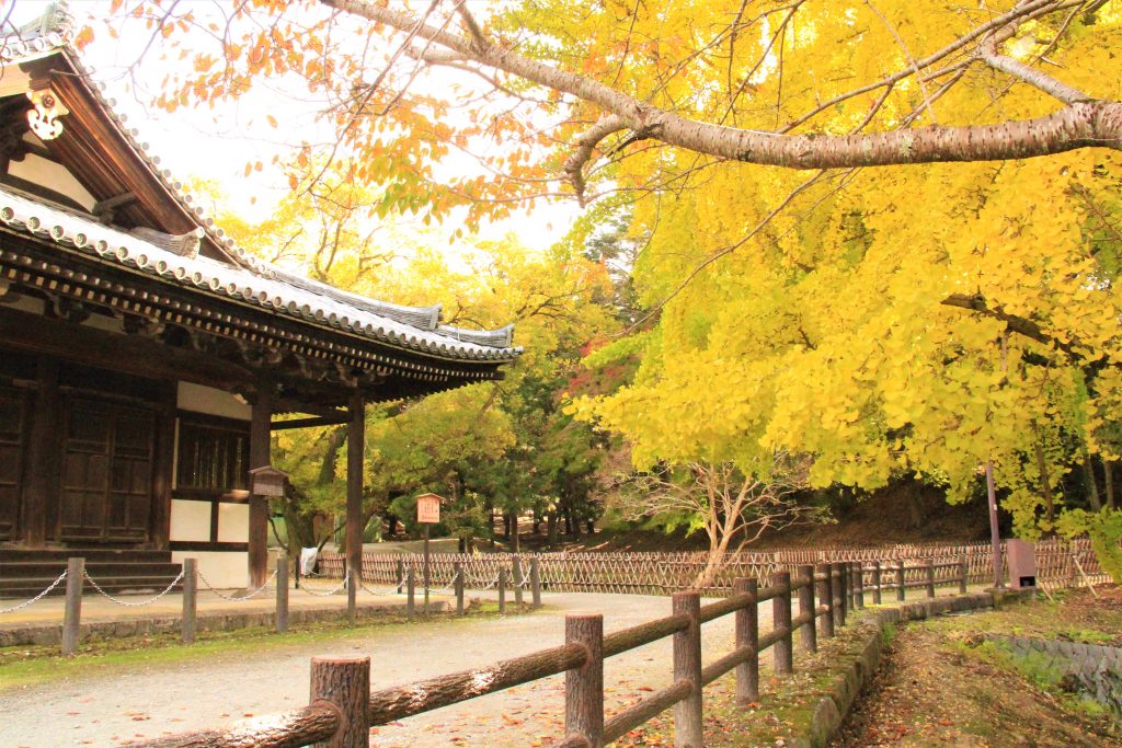 奈良 東大寺　二月堂　お水取り　見どころ　拝観料　歴史　盆踊り　裏参道　蛍　絶対秘仏　拝観料入場料金　東大寺　奈良市観光協会　スカイツリー　24時間　無料