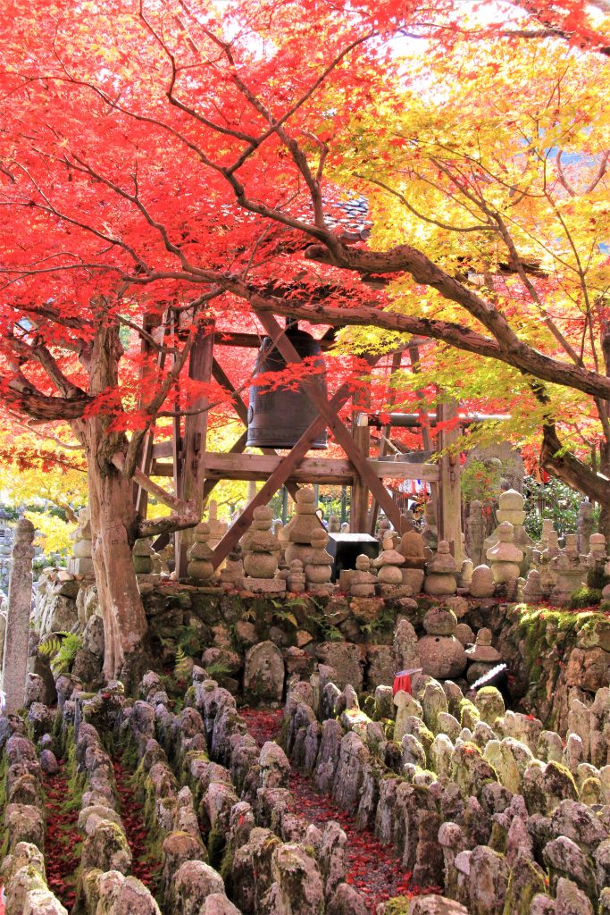 京都　紅葉　見ごろ　時期　ライトアップ　名所　穴場　ランキング　おすすめ　寺 東福寺　三千院　嵐山　化野念仏寺　愛宕念仏寺　車折神社　直指庵　清滝　錦雲渓神護寺　今熊野観音寺　寂光院　貴船神社　嵯峨鳥居本　愛宕神社　一之鳥居　野宮神社　哲学の道　