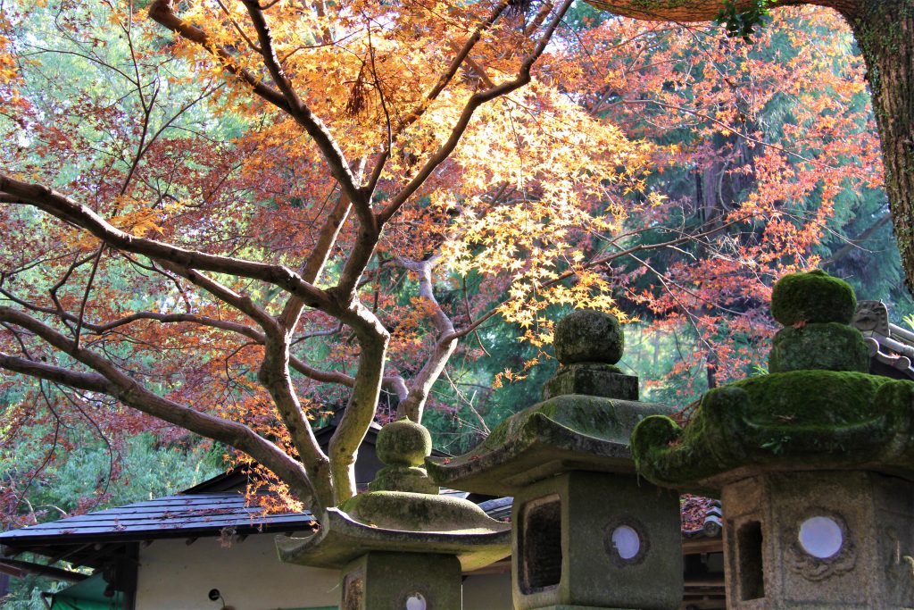 秋　奈良　観光　紅葉　名所　穴場　スポット　紅葉　時期　見ごろ　東大寺　春日大社　興福寺　二月堂　ライトアップ　大仏池　手向山八幡宮　奈良春日野国際フォーラム 甍～I・RA・KA～（奈良県新公会堂）　浮見堂　若草山　奈良公園