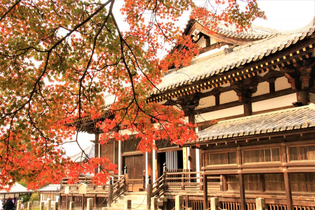 秋　奈良　観光　紅葉　名所　穴場　スポット　紅葉　時期　見ごろ　東大寺　春日大社　興福寺　二月堂　ライトアップ　大仏池　手向山八幡宮　奈良春日野国際フォーラム 甍～I・RA・KA～（奈良県新公会堂）　浮見堂　若草山　奈良公園