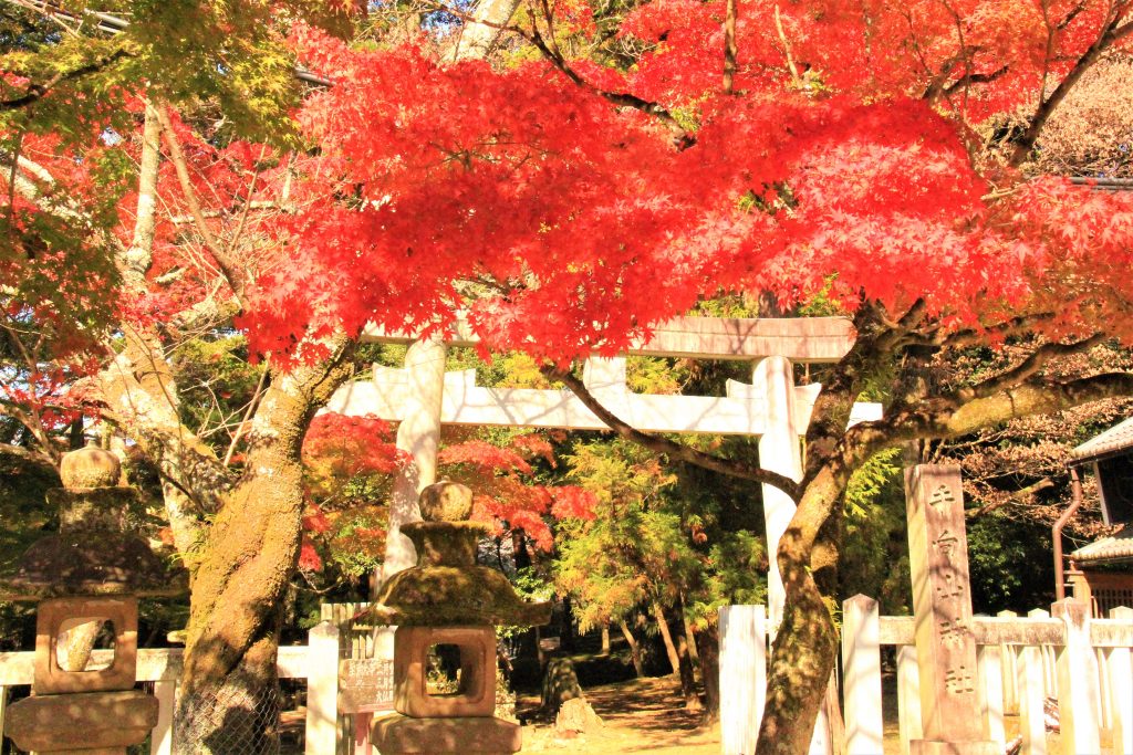 秋　奈良　観光　紅葉　名所　穴場　スポット　紅葉　時期　見ごろ　東大寺　春日大社　興福寺　二月堂　ライトアップ　大仏池　手向山八幡宮　奈良春日野国際フォーラム 甍～I・RA・KA～（奈良県新公会堂）　浮見堂　若草山　奈良公園