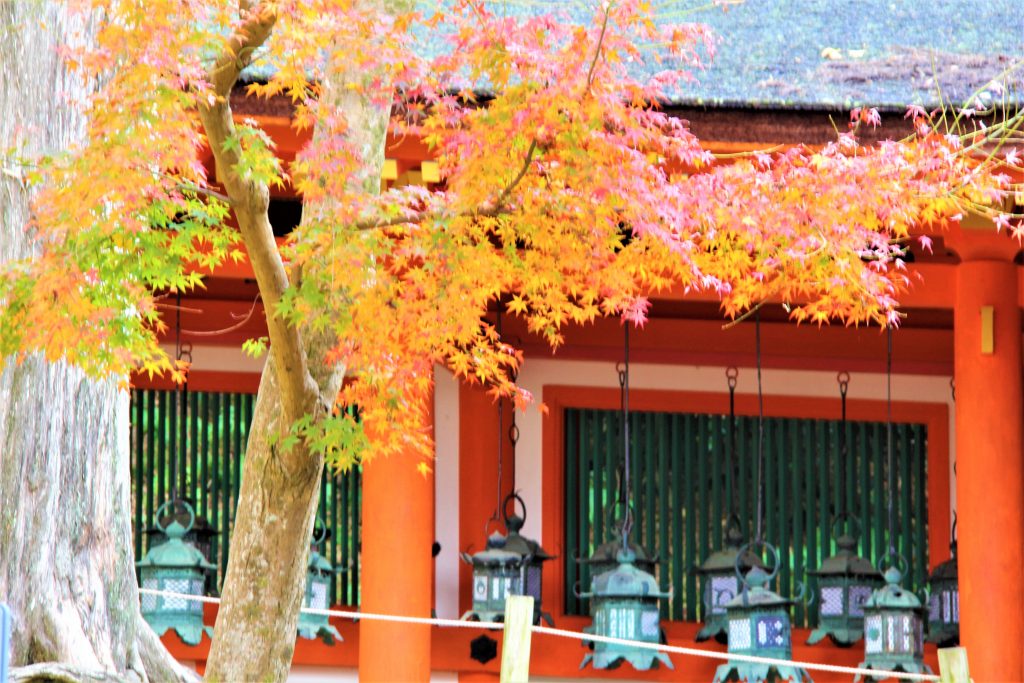 秋　奈良　観光　紅葉　名所　穴場　スポット　紅葉　時期　見ごろ　東大寺　春日大社　興福寺　二月堂　ライトアップ　大仏池　手向山八幡宮　奈良春日野国際フォーラム 甍～I・RA・KA～（奈良県新公会堂）　浮見堂　若草山　奈良公園