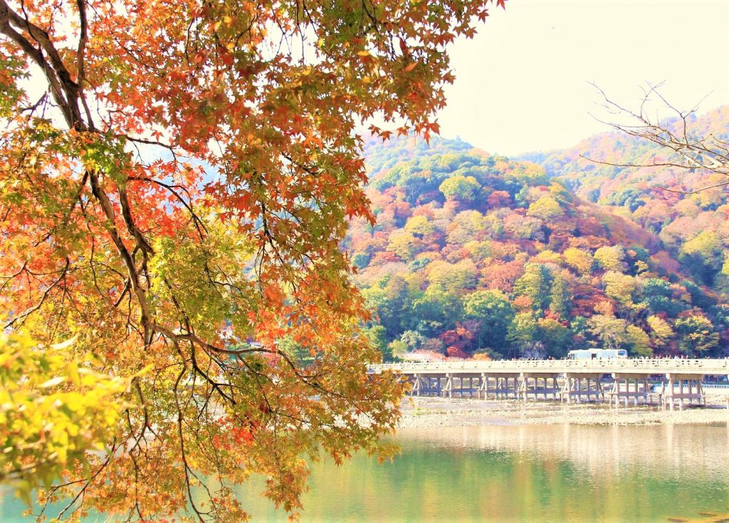 京都　紅葉　見ごろ　時期　ライトアップ　名所　穴場　ランキング　おすすめ　寺 東福寺　三千院　嵐山　化野念仏寺　愛宕念仏寺　車折神社　直指庵　清滝　錦雲渓神護寺　今熊野観音寺　寂光院　貴船神社　嵯峨鳥居本　愛宕神社　一之鳥居　野宮神社　哲学の道　