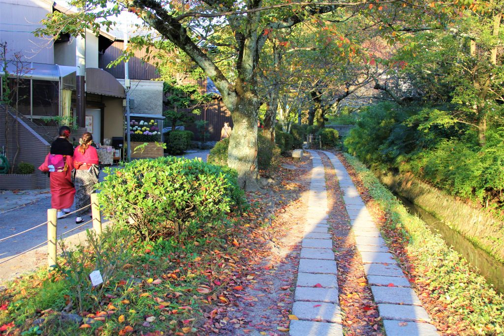 京都　紅葉　見ごろ　時期　ライトアップ　名所　穴場　ランキング　おすすめ　寺 東福寺　三千院　嵐山　化野念仏寺　愛宕念仏寺　車折神社　直指庵　清滝　錦雲渓神護寺　今熊野観音寺　寂光院　貴船神社　嵯峨鳥居本　愛宕神社　一之鳥居　野宮神社　哲学の道　