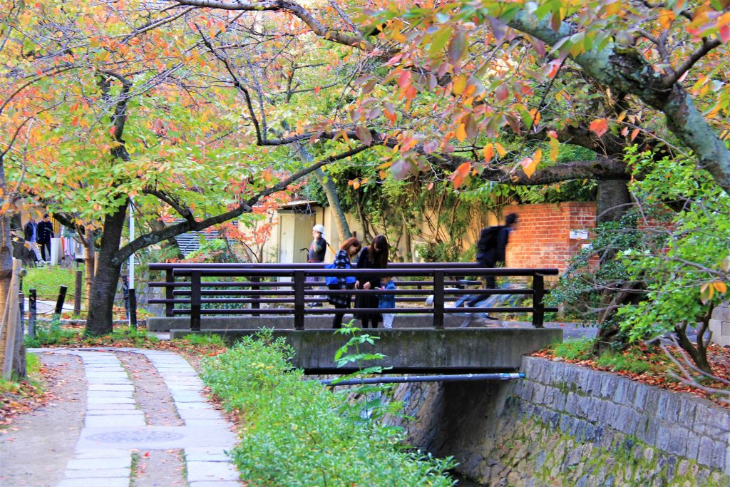 京都　紅葉　見ごろ　時期　ライトアップ　名所　穴場　ランキング　おすすめ　寺 東福寺　三千院　嵐山　化野念仏寺　愛宕念仏寺　車折神社　直指庵　清滝　錦雲渓神護寺　今熊野観音寺　寂光院　貴船神社　嵯峨鳥居本　愛宕神社　一之鳥居　野宮神社　哲学の道　