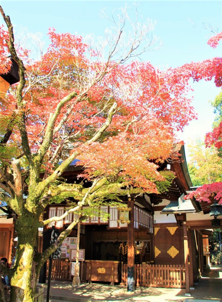 京都　紅葉　見ごろ　時期　ライトアップ　名所　穴場　ランキング　おすすめ　寺 東福寺　三千院　嵐山　化野念仏寺　愛宕念仏寺　車折神社　直指庵　清滝　錦雲渓神護寺　今熊野観音寺　寂光院　貴船神社　嵯峨鳥居本　愛宕神社　一之鳥居　野宮神社　哲学の道　