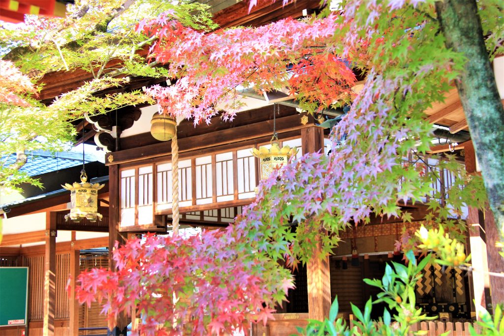 京都　紅葉　見ごろ　時期　ライトアップ　名所　穴場　ランキング　おすすめ　寺 東福寺　三千院　嵐山　化野念仏寺　愛宕念仏寺　車折神社　直指庵　清滝　錦雲渓神護寺　今熊野観音寺　寂光院　貴船神社　嵯峨鳥居本　愛宕神社　一之鳥居　野宮神社　哲学の道　