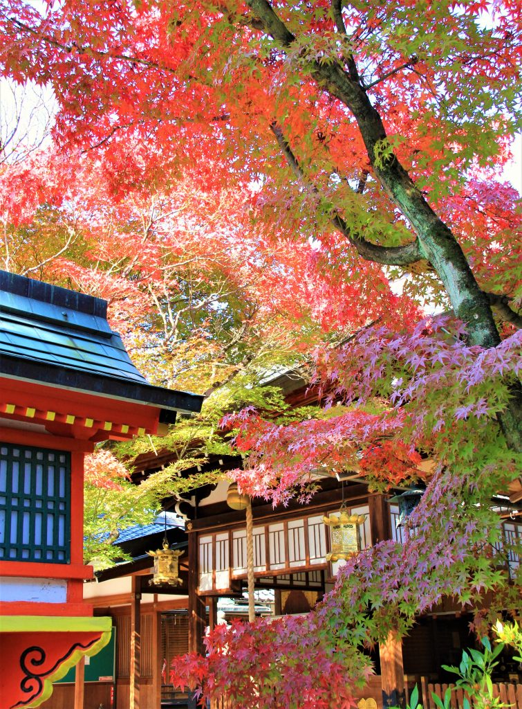 京都　紅葉　見ごろ　時期　ライトアップ　名所　穴場　ランキング　おすすめ　寺 東福寺　三千院　嵐山　化野念仏寺　愛宕念仏寺　車折神社　直指庵　清滝　錦雲渓神護寺　今熊野観音寺　寂光院　貴船神社　嵯峨鳥居本　愛宕神社　一之鳥居　野宮神社　哲学の道　