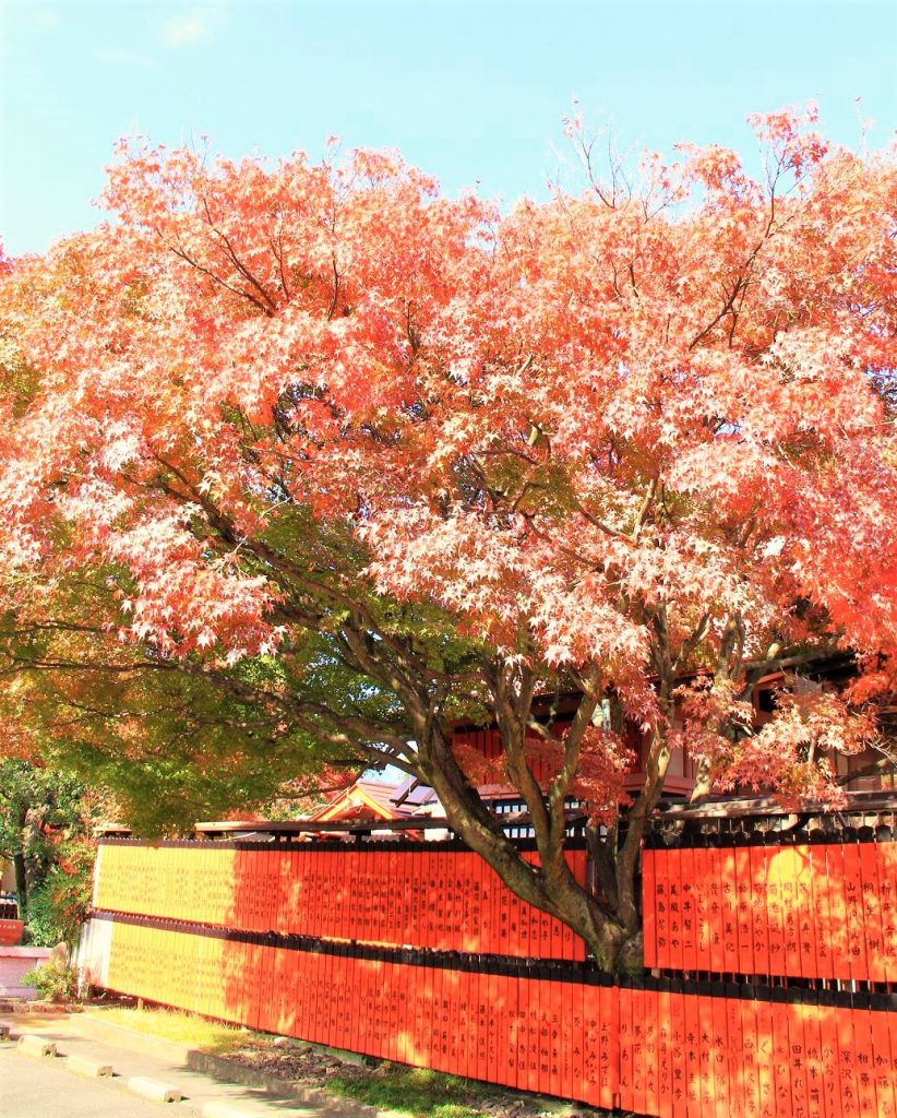 京都　紅葉　見ごろ　時期　ライトアップ　名所　穴場　ランキング　おすすめ　寺 東福寺　三千院　嵐山　化野念仏寺　愛宕念仏寺　車折神社　直指庵　清滝　錦雲渓神護寺　今熊野観音寺　寂光院　貴船神社　嵯峨鳥居本　愛宕神社　一之鳥居　野宮神社　哲学の道　