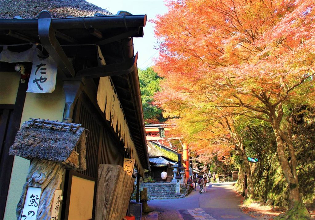 京都　紅葉　見ごろ　時期　ライトアップ　名所　穴場　ランキング　おすすめ　寺 東福寺　三千院　嵐山　化野念仏寺　愛宕念仏寺　車折神社　直指庵　清滝　錦雲渓神護寺　今熊野観音寺　寂光院　貴船神社　嵯峨鳥居本　愛宕神社　一之鳥居　野宮神社　哲学の道　