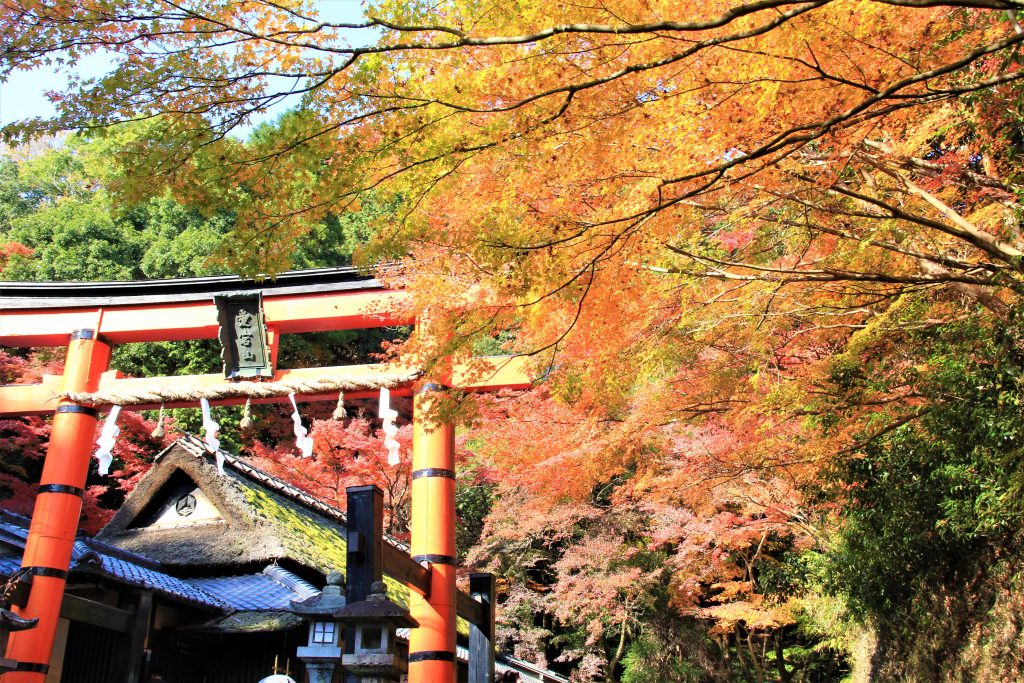 京都　紅葉　見ごろ　時期　ライトアップ　名所　穴場　ランキング　おすすめ　寺 東福寺　三千院　嵐山　化野念仏寺　愛宕念仏寺　車折神社　直指庵　清滝　錦雲渓神護寺　今熊野観音寺　寂光院　貴船神社　嵯峨鳥居本　愛宕神社　一之鳥居　野宮神社　哲学の道　