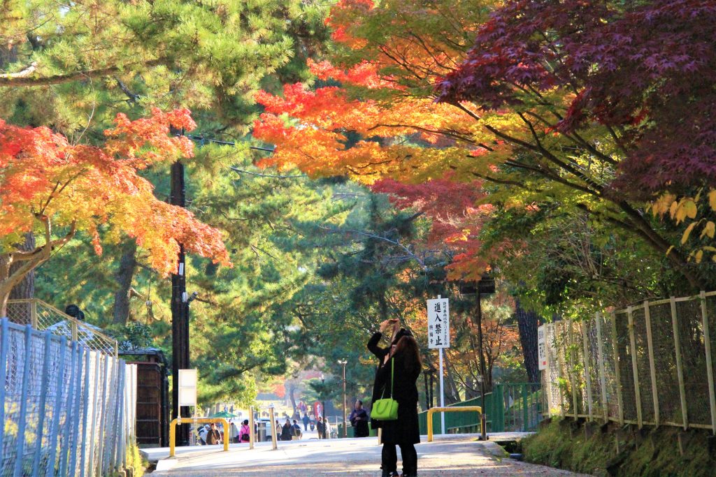 秋　奈良　観光　紅葉　名所　穴場　スポット　紅葉　時期　見ごろ　東大寺　春日大社　興福寺　二月堂　ライトアップ　大仏池　手向山八幡宮　奈良春日野国際フォーラム 甍～I・RA・KA～（奈良県新公会堂）　浮見堂　若草山　奈良公園