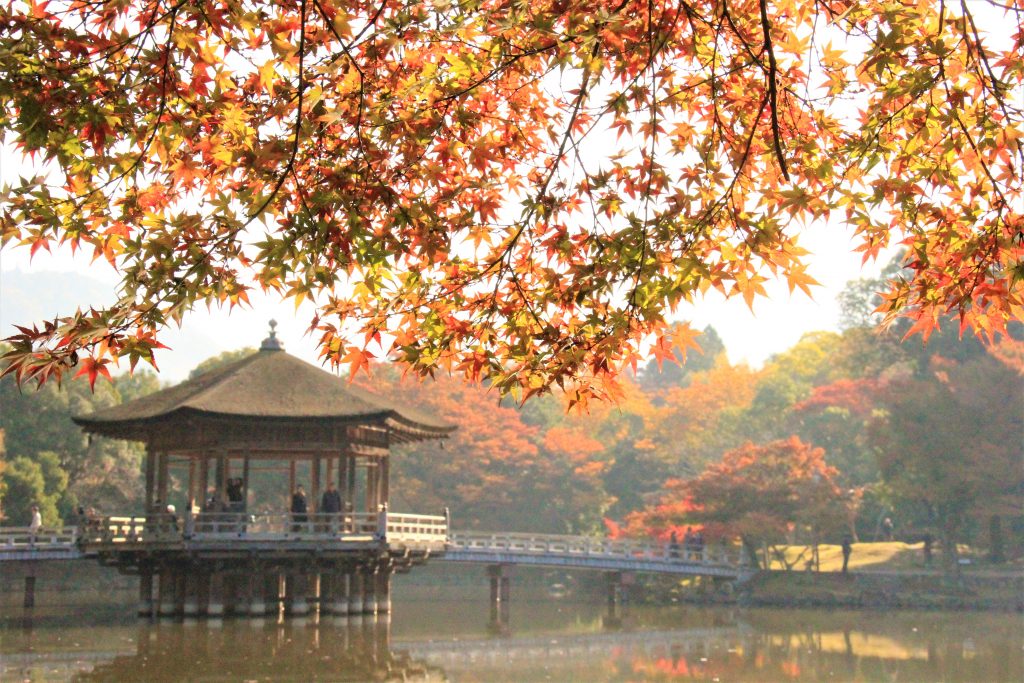 秋　奈良　観光　紅葉　名所　穴場　スポット　紅葉　時期　見ごろ　東大寺　春日大社　興福寺　二月堂　ライトアップ　大仏池　手向山八幡宮　奈良春日野国際フォーラム 甍～I・RA・KA～（奈良県新公会堂）　浮見堂　若草山　奈良公園