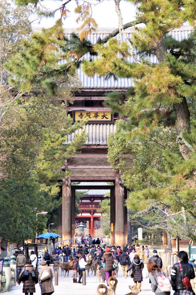 奈良　大仏　東大寺　大仏殿　再発見　大人　楽しむ　奈良　観光　旅行　モデル　コース　ファミリー　カップル　一人旅　奈良県　奈良市　初心者