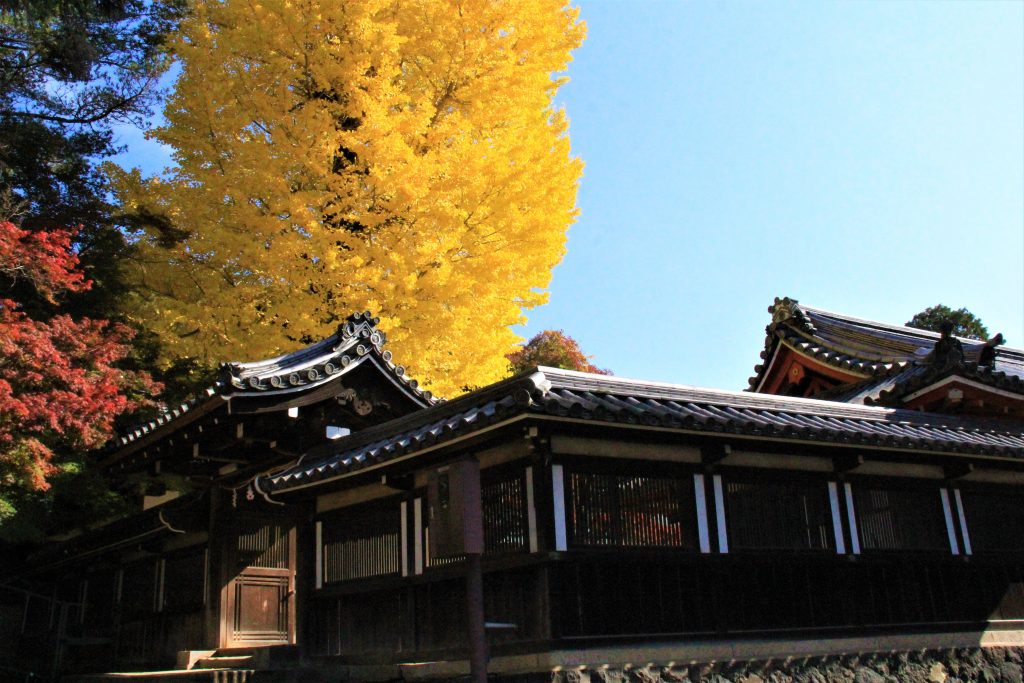 秋　奈良　観光　紅葉　名所　穴場　スポット　紅葉　時期　見ごろ　東大寺　春日大社　興福寺　二月堂　ライトアップ　大仏池　手向山八幡宮　奈良春日野国際フォーラム 甍～I・RA・KA～（奈良県新公会堂）　浮見堂　若草山　奈良公園