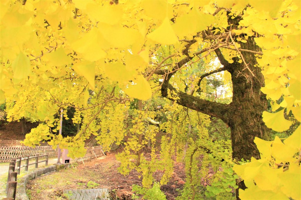 大阪「サムハラ神社」