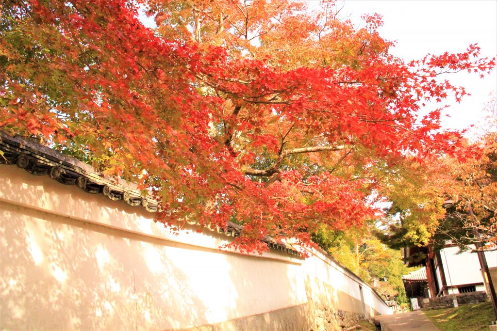 秋　奈良　観光　紅葉　名所　穴場　スポット　紅葉　時期　見ごろ　東大寺　春日大社　興福寺　二月堂　ライトアップ　大仏池　手向山八幡宮　奈良春日野国際フォーラム 甍～I・RA・KA～（奈良県新公会堂）　浮見堂　若草山　奈良公園