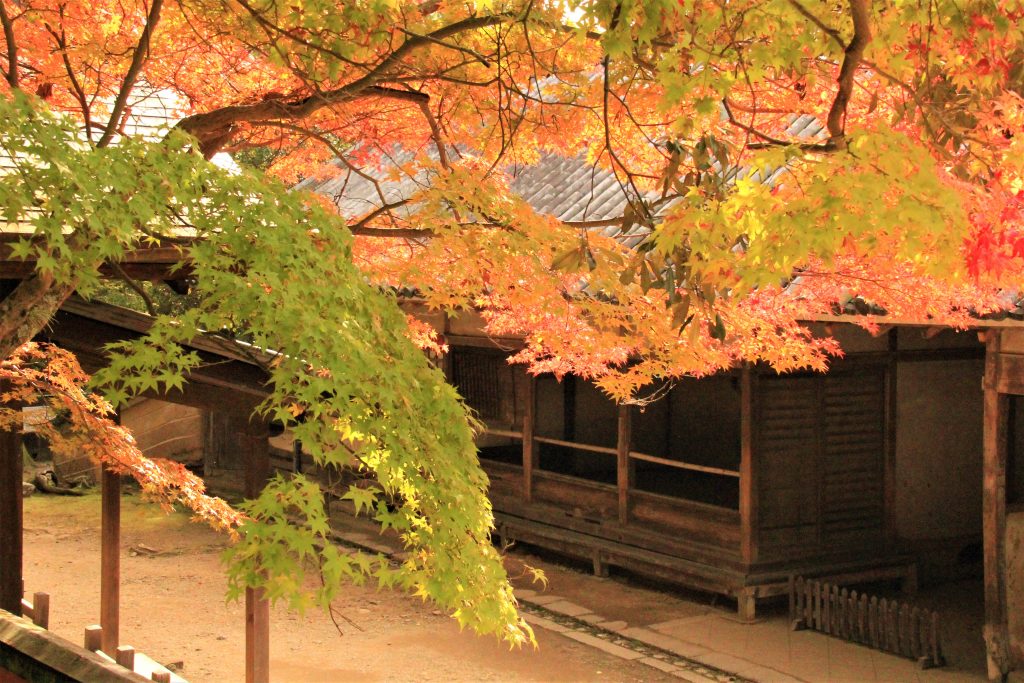 秋　奈良　観光　紅葉　名所　穴場　スポット　紅葉　時期　見ごろ　東大寺　春日大社　興福寺　二月堂　ライトアップ　大仏池　手向山八幡宮　奈良春日野国際フォーラム 甍～I・RA・KA～（奈良県新公会堂）　浮見堂　若草山　奈良公園