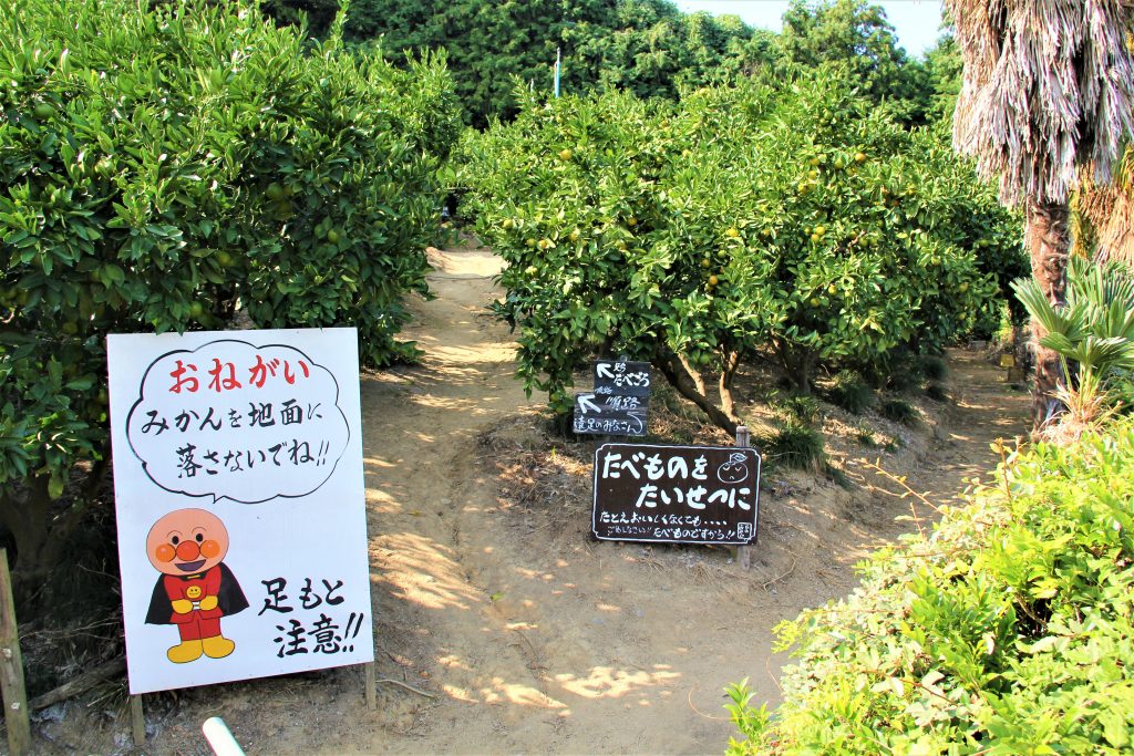 大阪　ＵＳＪ　謎　観光スポット　城山オレンヂ園　夢農場　道頓堀　梅田　大阪城　通天閣　新世界