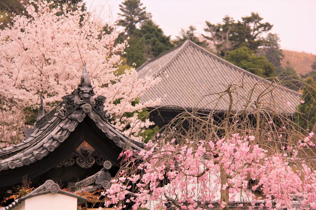 奈良　大仏　東大寺　大仏殿　再発見　大人　楽しむ　奈良　観光　旅行　モデル　コース　ファミリー　カップル　一人旅　奈良県　奈良市　初心者