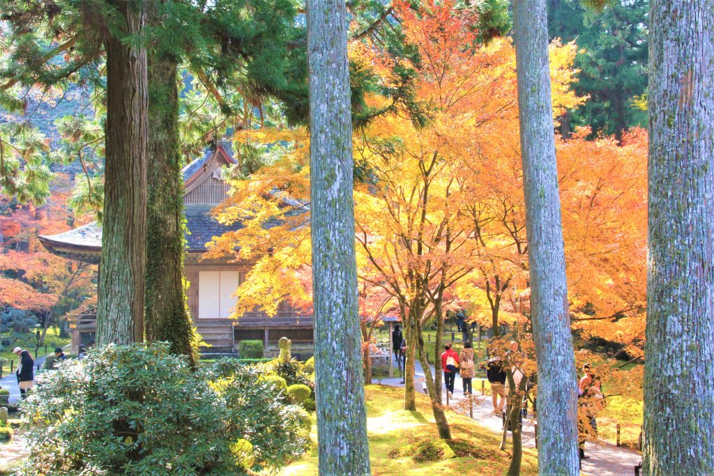 京都　紅葉　見ごろ　時期　ライトアップ　名所　穴場　ランキング　おすすめ　寺 東福寺　三千院　嵐山　化野念仏寺　愛宕念仏寺　車折神社　直指庵　清滝　錦雲渓神護寺　今熊野観音寺　寂光院　貴船神社　嵯峨鳥居本　愛宕神社　一之鳥居　野宮神社　哲学の道　