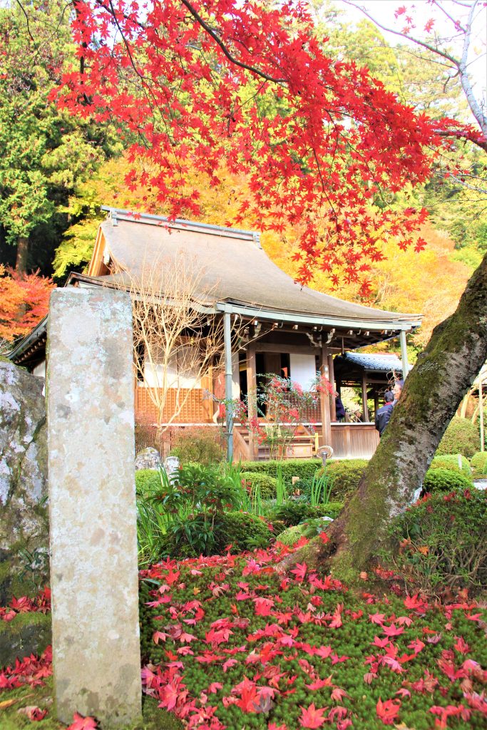 京都　紅葉　見ごろ　時期　ライトアップ　名所　穴場　ランキング　おすすめ　寺 東福寺　三千院　嵐山　化野念仏寺　愛宕念仏寺　車折神社　直指庵　清滝　錦雲渓神護寺　今熊野観音寺　寂光院　貴船神社　嵯峨鳥居本　愛宕神社　一之鳥居　野宮神社　哲学の道　