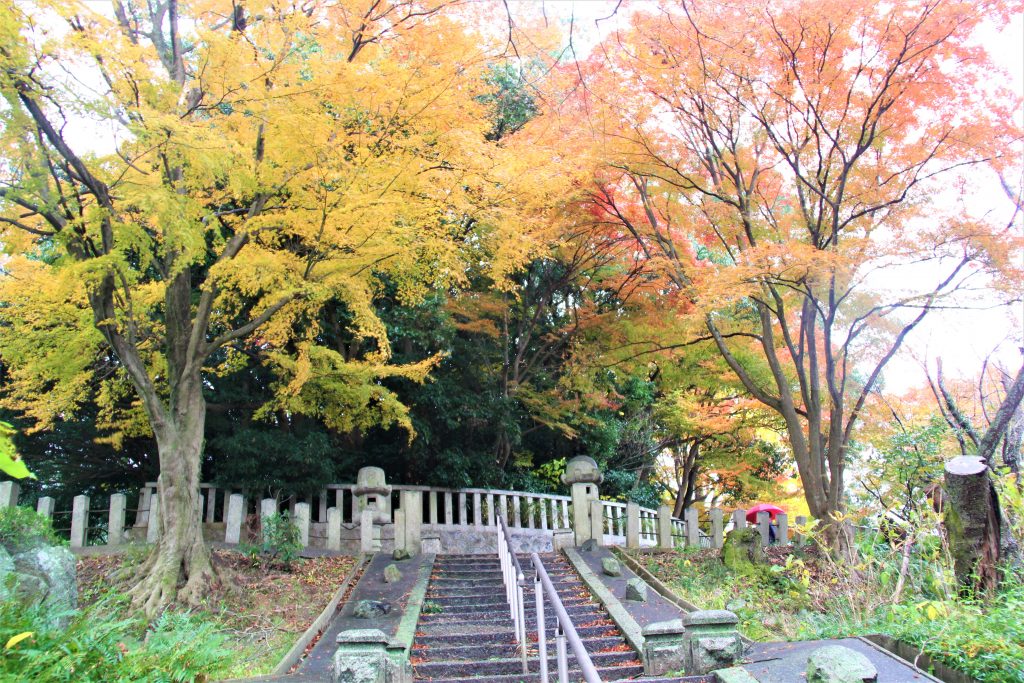 理想の上司　聖徳太子　ミカン狩り　古墳　観光　大阪　太子町　小野妹子　上の太子観光みかん園　二上山　竹内街道　推古天皇　孝徳天皇　近つ飛鳥博物館