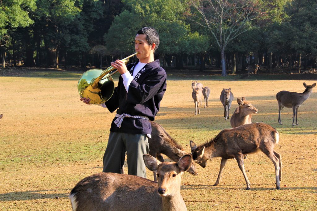 秋　奈良　観光　紅葉　名所　穴場　スポット　紅葉　時期　見ごろ　東大寺　春日大社　興福寺　二月堂　ライトアップ　大仏池　手向山八幡宮　奈良春日野国際フォーラム 甍～I・RA・KA～（奈良県新公会堂）　浮見堂　若草山　奈良公園