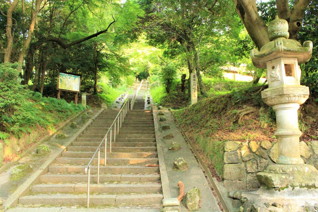 理想の上司　聖徳太子　ミカン狩り　古墳　観光　大阪　太子町　小野妹子　上の太子観光みかん園　二上山　竹内街道　推古天皇　孝徳天皇　近つ飛鳥博物館