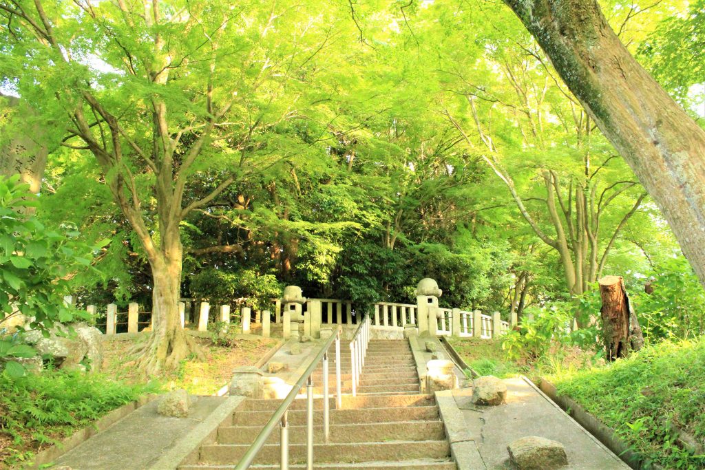 理想の上司　聖徳太子　ミカン狩り　古墳　観光　大阪　太子町　小野妹子　上の太子観光みかん園　二上山　竹内街道　推古天皇　孝徳天皇　近つ飛鳥博物館