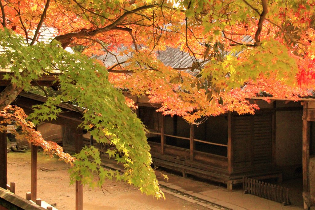 奈良 東大寺　二月堂　お水取り　見どころ　拝観料　歴史　盆踊り　裏参道　蛍　絶対秘仏　拝観料入場料金　東大寺　奈良市観光協会　スカイツリー　24時間　無料