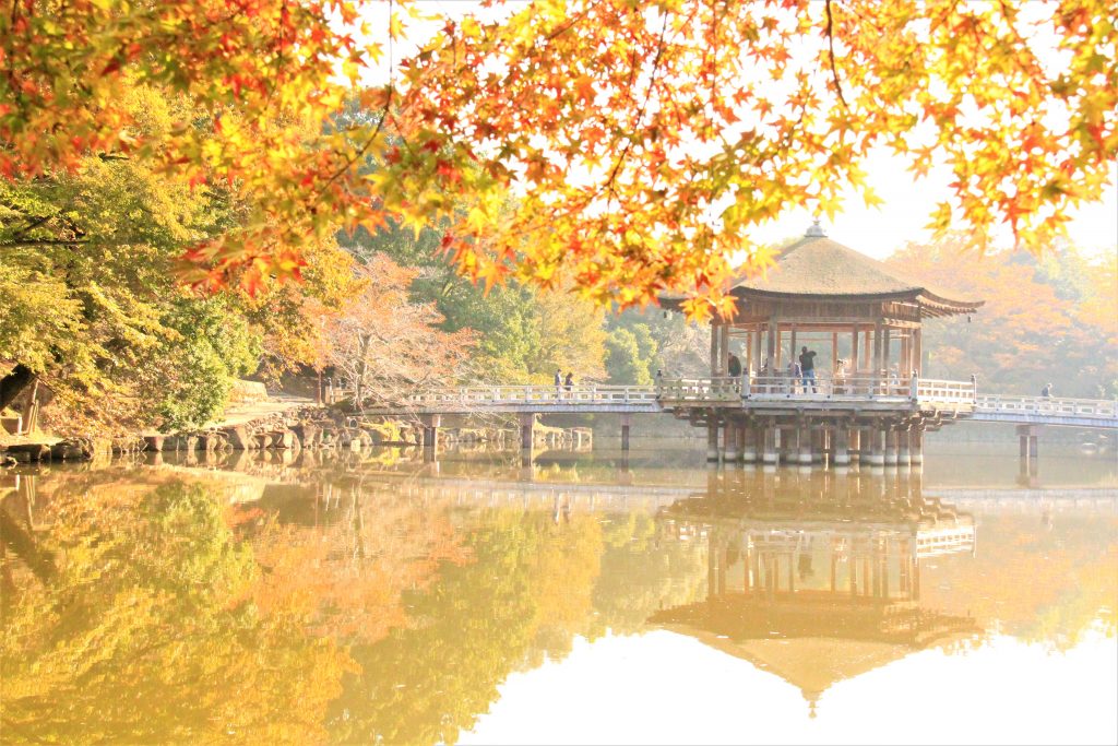 秋　奈良　観光　紅葉　名所　穴場　スポット　紅葉　時期　見ごろ　東大寺　春日大社　興福寺　二月堂　ライトアップ　大仏池　手向山八幡宮　奈良春日野国際フォーラム 甍～I・RA・KA～（奈良県新公会堂）　浮見堂　若草山　奈良公園